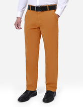 Camel Plain Classic Fit Chino