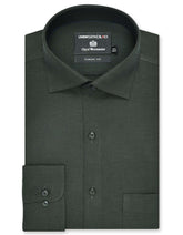 Plain D Green Classic Fit Shirt FS2383-1RF-14.5
