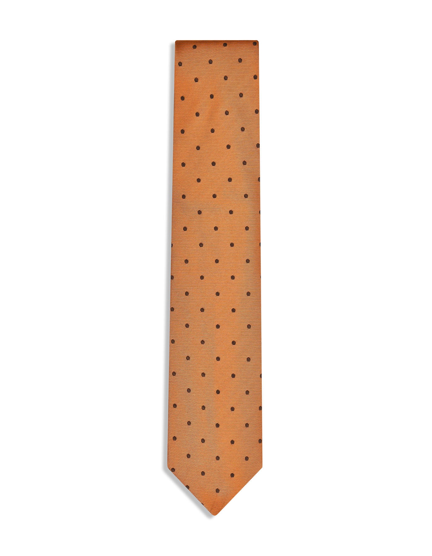Brown Dotted Tie