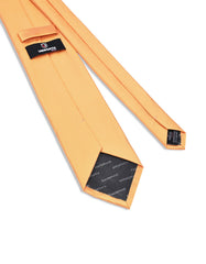 Golden Self Plain Tie