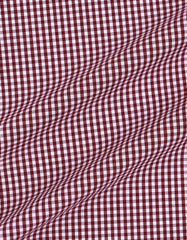 Red Check Regular Fit Casual Shirt
