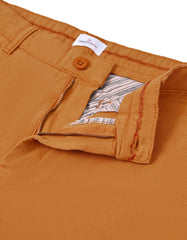 Camel Plain Classic Fit Chino