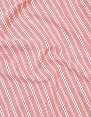 Rust Stripe Regular Fit Casual Shirt