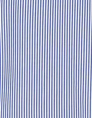 Navy Stripe Regular Fit Casual Shirt