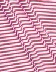 Red Stripe Regular Fit Casual Shirt