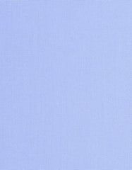 Plain Sky Regular Fit Shirt FS1325-1RF-17