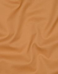 Plain Rust Smart Fit Shirt FS1631SF-16