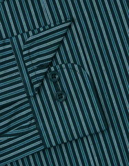 Stripe Teal Tailored Smart Fit Shirt FS2798SF-15.5