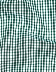 Check Green Classic Fit Shirt FS2953RF-16