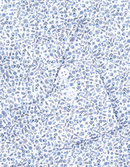 Printed L Blue Classic Fit Shirt FS859-1RF-15.5