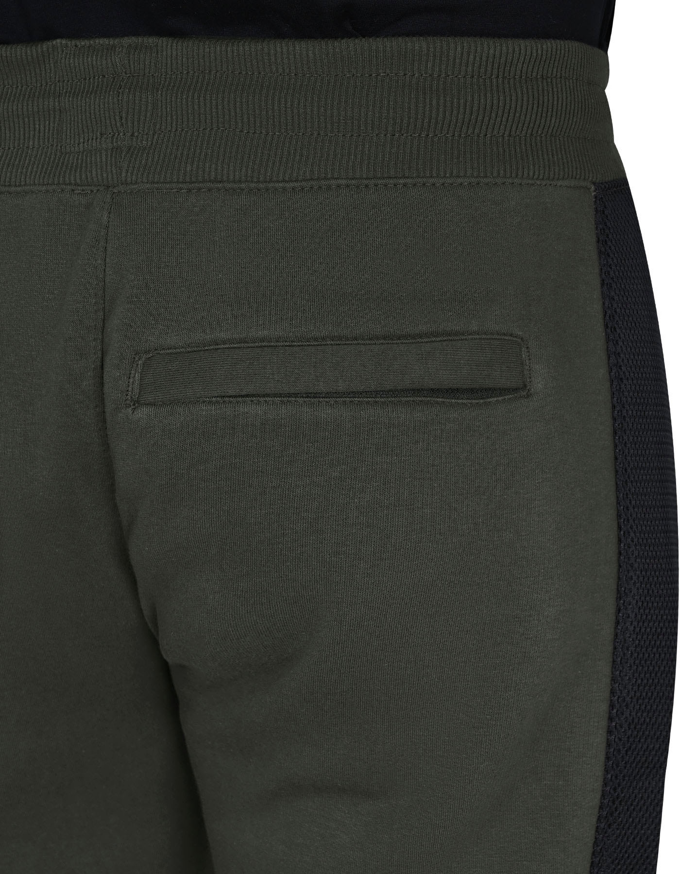 Moss Basic LSP2404-XL