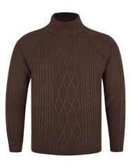 Brown Stripe Pull Over SFA2313-M