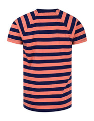 Stripe Navy TCN2404-1-L
