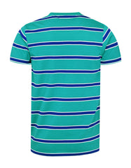 Stripe Teal TCN2405-L