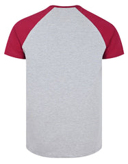 Plain Heather Grey TCN2422-L
