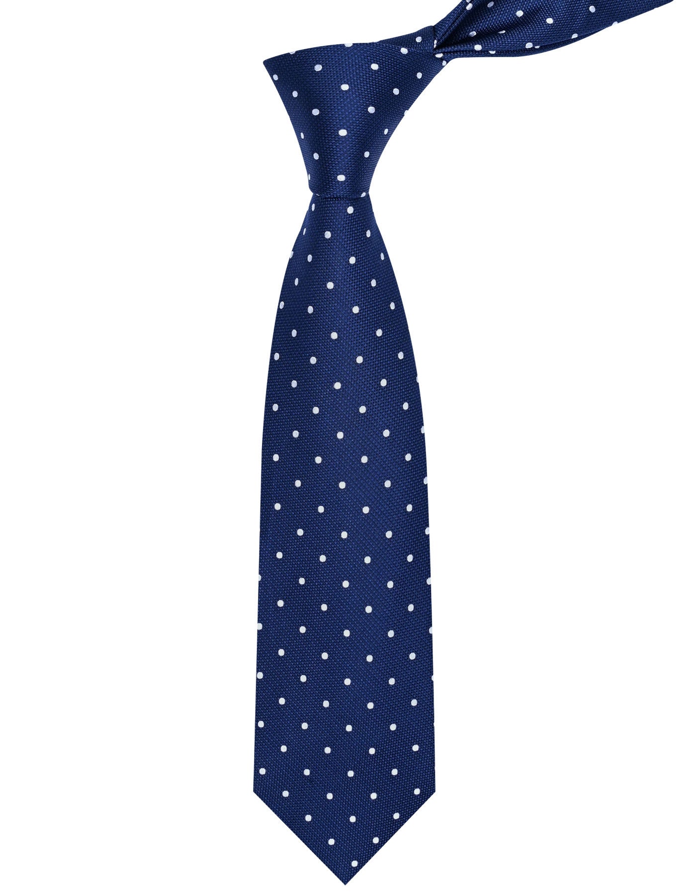 Navy Dotted Tie