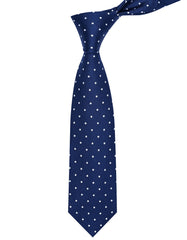 Navy Dotted Tie