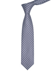Silver Dotted Tie