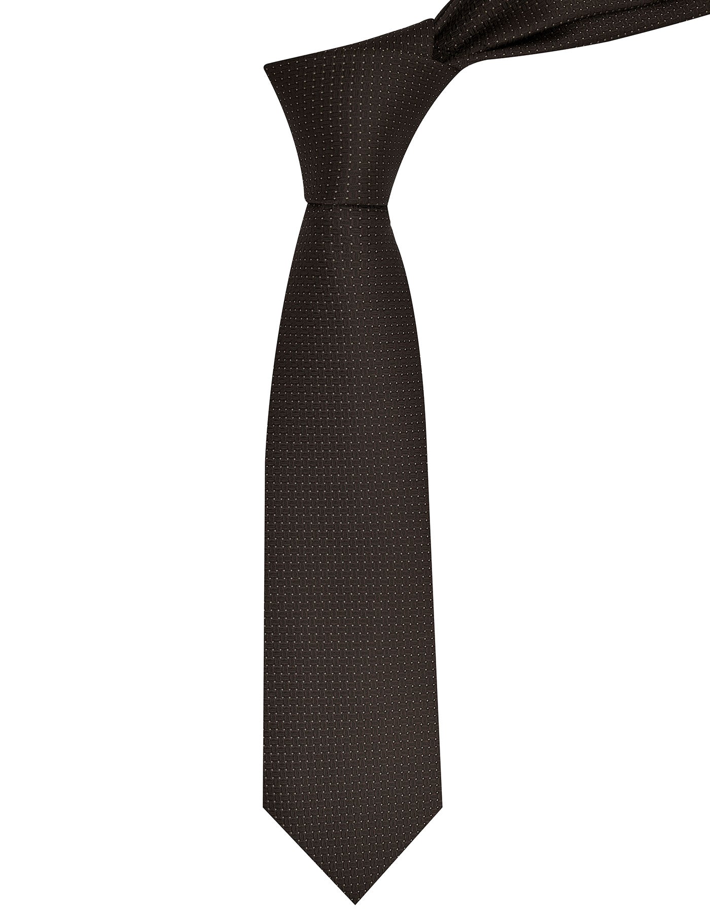 Brown Dotted Tie