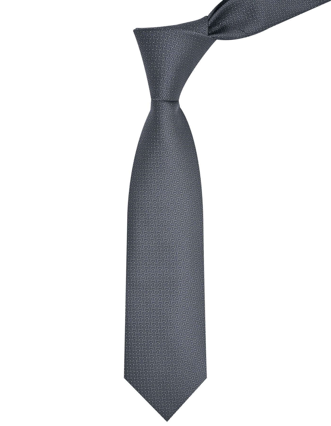 Charcoal Dotted Tie