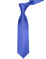 Blue Dotted Tie