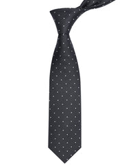 Black Dotted Tie