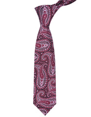 Multi Paisley Tie