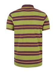 Stripe Olive TP2476-1-XXL