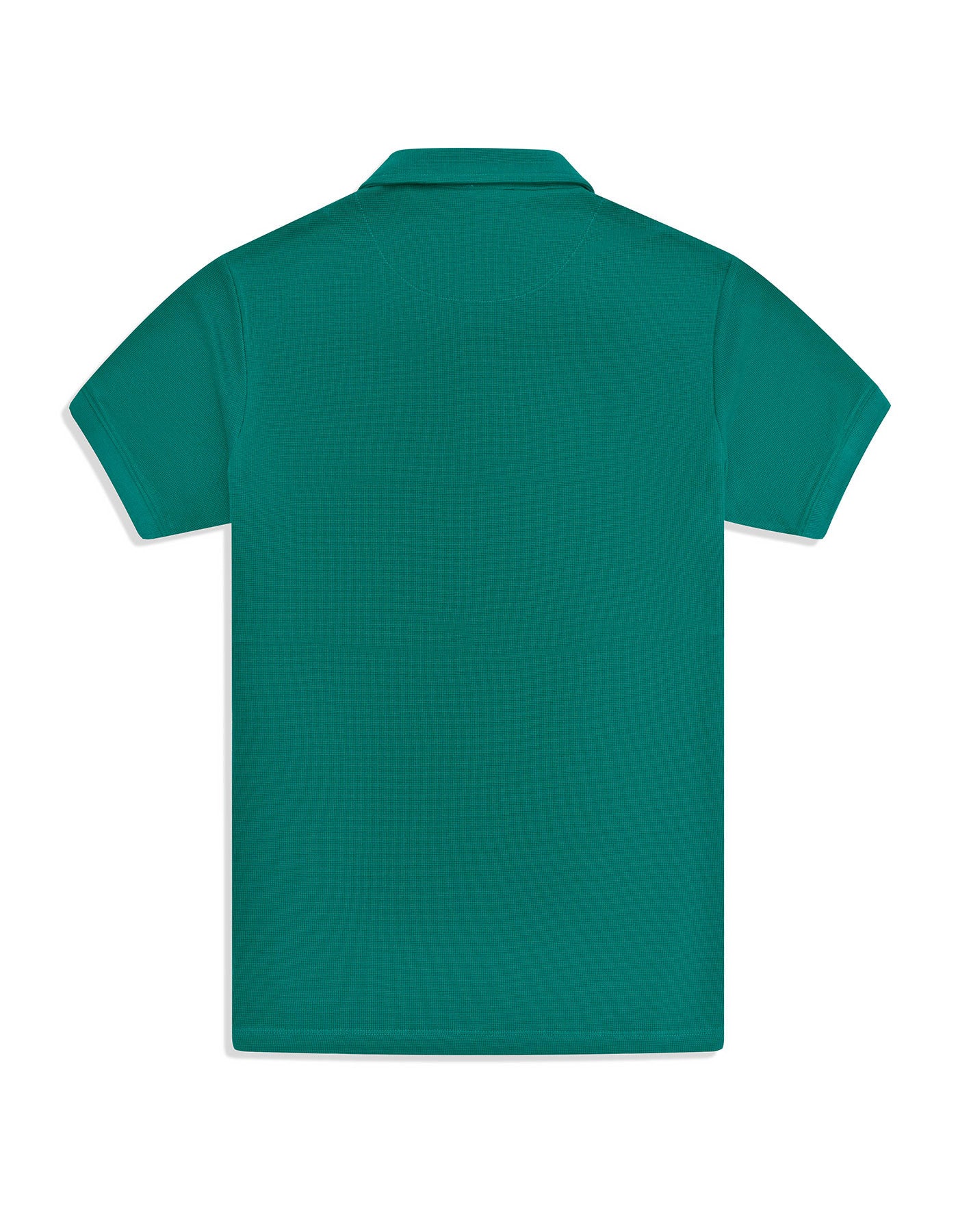 Texture Teal TP2631-1-XXL
