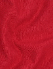 Red Color Block Pique Polo Shirt