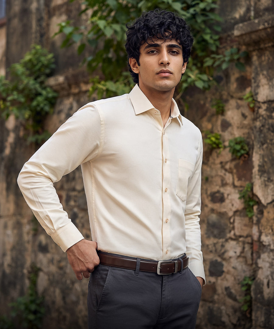 dress pant shirt price in pakistan Cut Price Formal Dress Shirt For Men Pickle Green Price in Pakistan